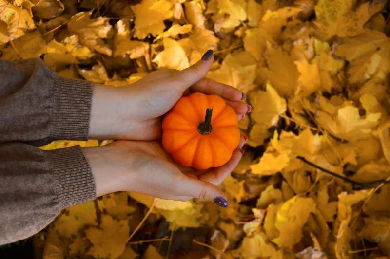 Pumpkin Spice in July Heat: The Psychology of Craving Fall Before Fall Arrives