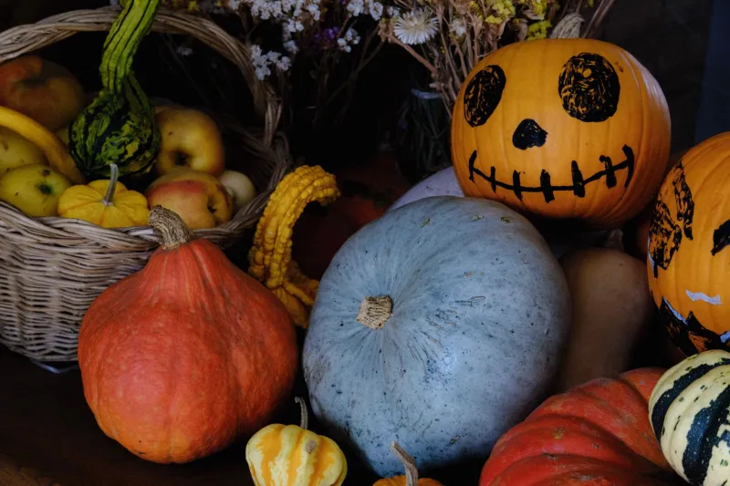 The Off-Season Haul Problem: What to Do When Your Autumn Obsession Has No Off Switch